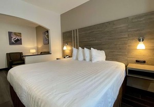 Best Western Roanoke Inn & Suites