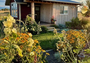 Ross Creek Cabin #2 Spectacular Mountain Views