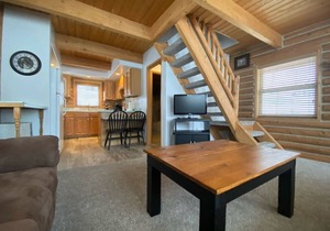Talkeetna Log Cabin with Hot Tub Unit 1