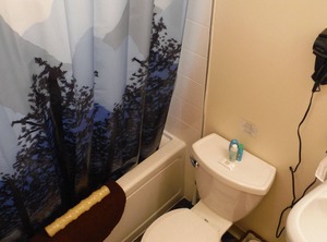 Offers Of The | Talkeetna