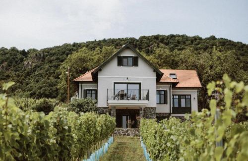 Badacsony House | Éliás Borbirtok