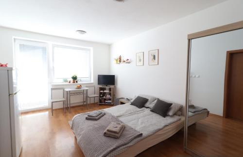 Radvan Apartment | Útulný bytík