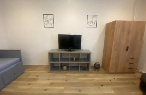 Plzen 2-Slovany Apartment | Černá Růže- apartmán 2