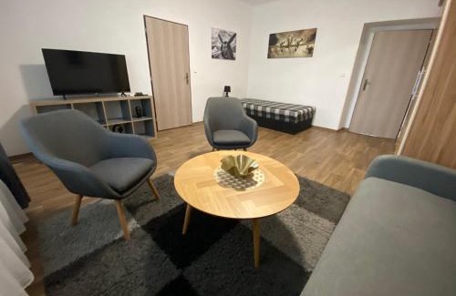 Plzen 2-Slovany Apartment | Černá Růže - Apartmán 3