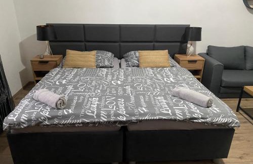 Plzen 2-Slovany Apartment | Černá Růže - Apartmán 4