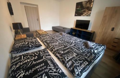 Plzen 2-Slovany Apartment | Černá Růže - Apartmán 4