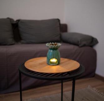 Old Town Apartment | "Čobanija" City Center Apartments