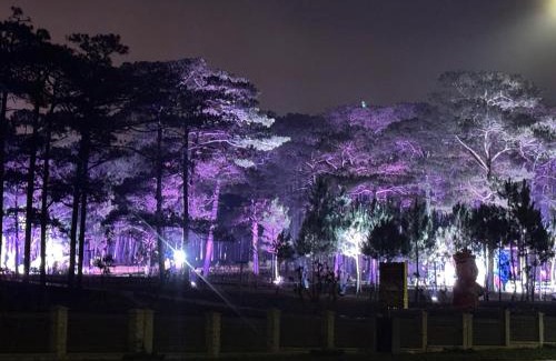 Da Lat Villa | Đà Lạt Villa 84 Hồ Xuân Hương