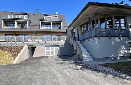 Ricky v Orlickych horach Apartment | Říčky v Orlických horách C21 by Interhome