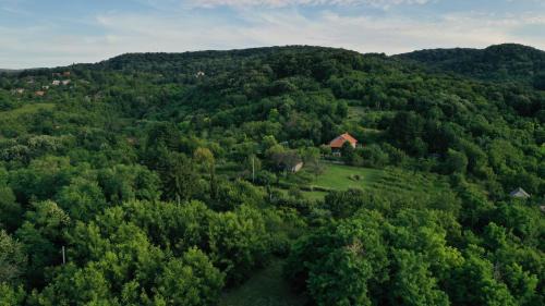 Petrovaradin House | Šumska 1 - Fruška gora