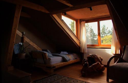 Petrovaradin House | Šumska 1 - Fruška gora
