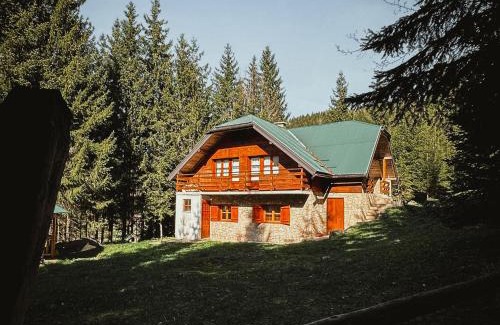 Konjska Reka Apartment | Šumska Tajna (Nacionalni Park Tara)
