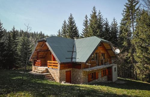 Konjska Reka Apartment | Šumska Tajna (Nacionalni Park Tara)