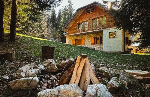 Konjska Reka Apartment | Šumska Tajna (Nacionalni Park Tara)