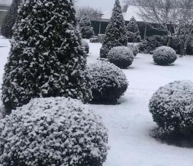 Pereyaslav-Khmel'nyts'kyi House | Баня,Сауна ДОМАШНІЙ ЗАТИШОК