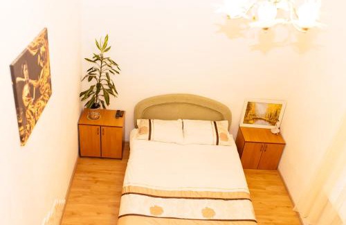 Yavory Apartment | Біля цирку (Near the circus)