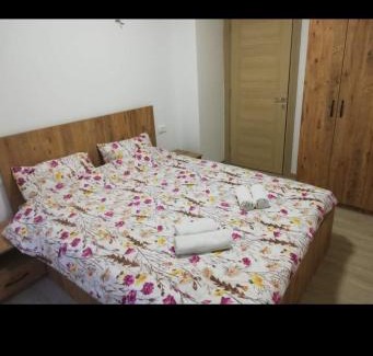 North Macedonia Cabin | Вила Емја Маврово