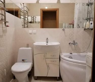 Lenins'kyi district Apartment | Вишенка
