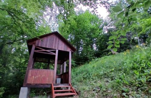 Slavske House | Домашній затишок