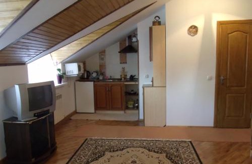 Truskavets Apartment | Квартира-студия в стиле Шале