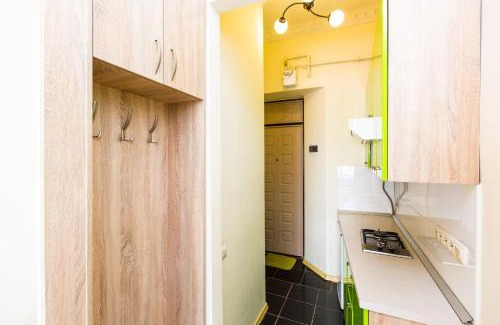 Lviv City Center Apartment | Кониського 7