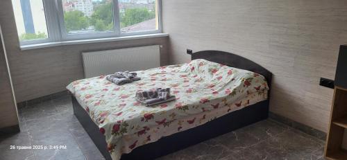 Kosuv Stary Apartment | Коновальця центр міні-студія