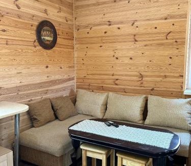 Dnipropetrovsk Oblast House | Котедж бiля рiчки село Кудашiвка