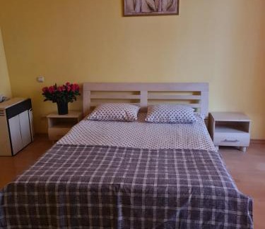 Lviv City Center Apartment | ЛЬВІВСЬКА МАНДРІВКА