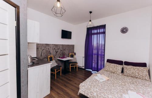 Kosuv Stary Apartment | Нові Apartments біля ЖД вокзалу