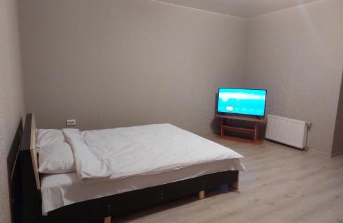 Lutsk Apartment | Однокімнатна біля автостанції, вулиця Зацепи