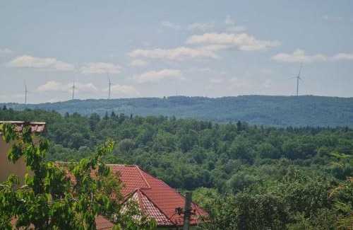 Truskavets Apartment | Приватна садиба "Лідія"