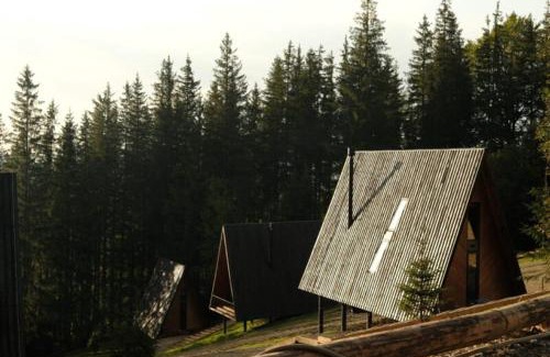 Snidavka House | УЛІС Ворохта
