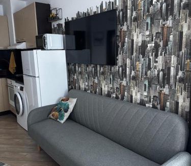 Shiligarnika Apartment | Уютно планинско студио със СПА център в комплекс Алпин Лодж