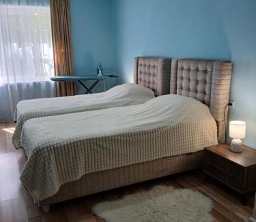 Rustavi Apartment | уют