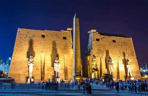 Luxor Other | البعيرات