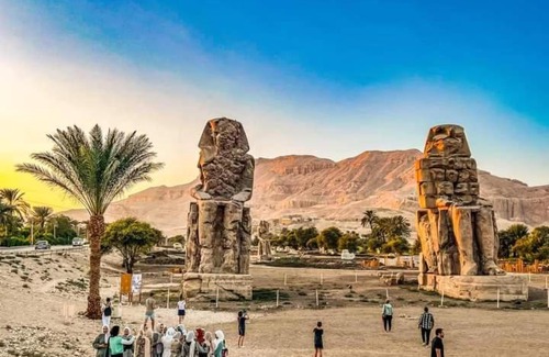 Luxor Other | البعيرات