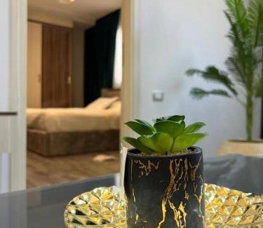 The 5th Settlement Apartment | التجمع الخامس