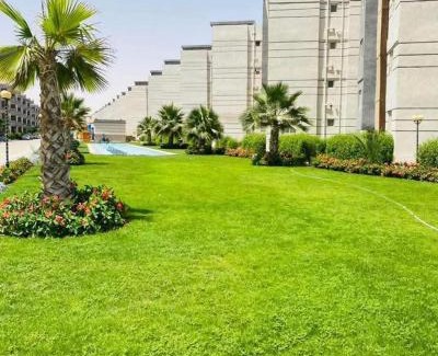 Marsa Matruh Apartment | تاهيتي باي الجراولة