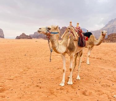 Wadi Rum Apartment | وادي رم إبوفيصل