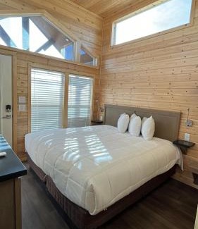 Valle Ski Chalet | 064B Grand Canyon South Rim Chalet with King Bed