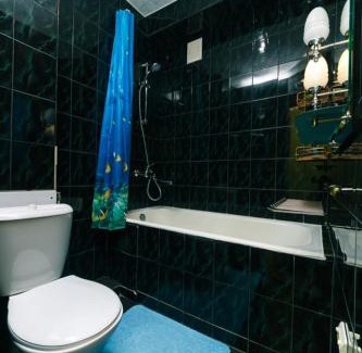 Holosiivskyj Apartment | 1 комнатная квартира м Васильковская газ и низкий этаж