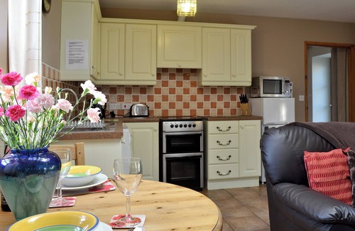 Tan-y-groes Cottage | 1 bedroom accommodation in Glynarthen, near Cardigan