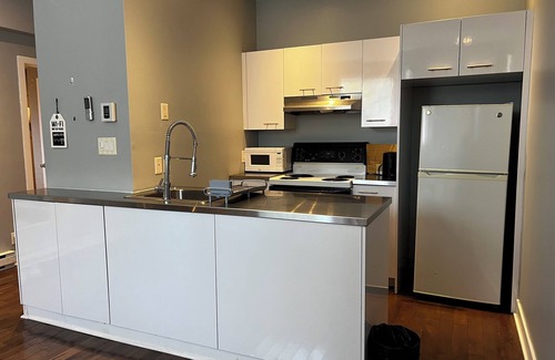 Sainte-Marie Condo | 1 Bedroom Apartment at Le Plateau-Mont-Royal. 10 mins to the Downtown Area.