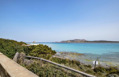 Stintino Apartment | 1 bedroom awesome apartment in Stintino