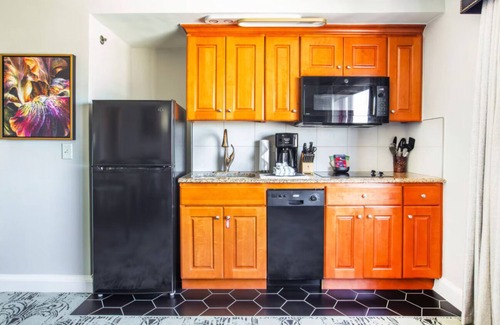 Faubourg Lafayette Apartment | 1 Bedroom Condo with Kitchen for Super Bowl! On St Charles Streetcar Route!