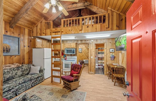 Sautee Nacoochee Cottage | 1 Bedroom Cozy Cabin 4 miles to Downtown Helen! Fireplace, Kitchen, Fire Pit!