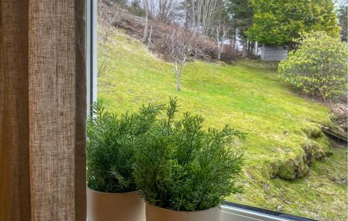Torjulvagen Apartment | 1 Bedroom Gorgeous Apartment In Kvisvik