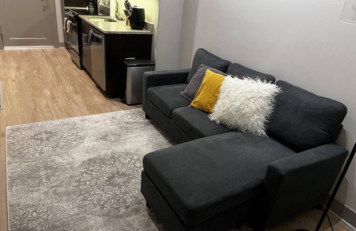 Downtown Baltimore Apartment | 1 Bedroom High Rise Luxury Apartment