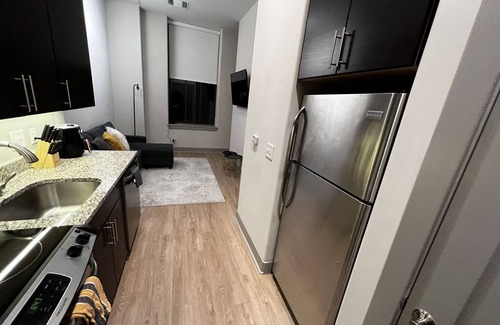 Downtown Baltimore Apartment | 1 Bedroom High Rise Luxury Apartment