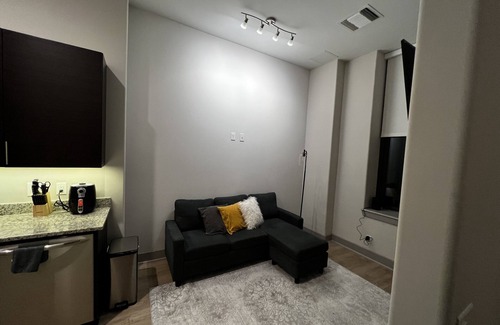 Downtown Baltimore Apartment | 1 Bedroom High Rise Luxury Apartment
